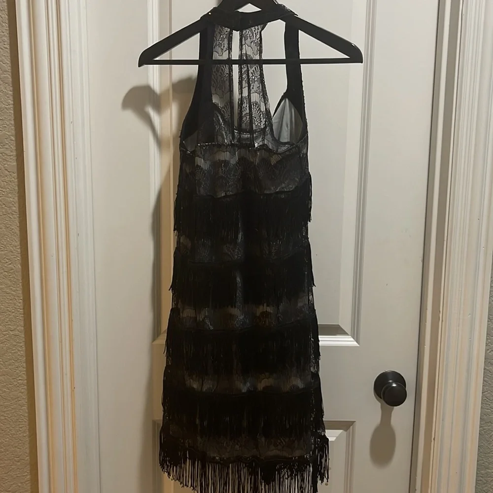 Flapper Dress - Picture 2 of 2